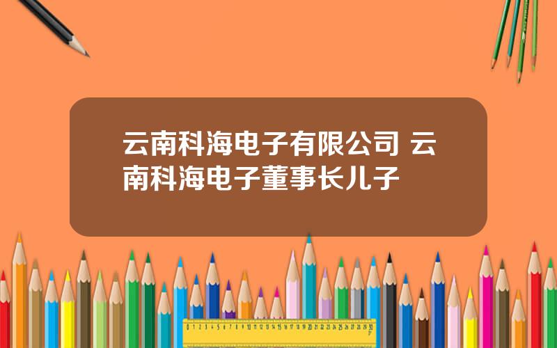 云南科海电子有限公司 云南科海电子董事长儿子